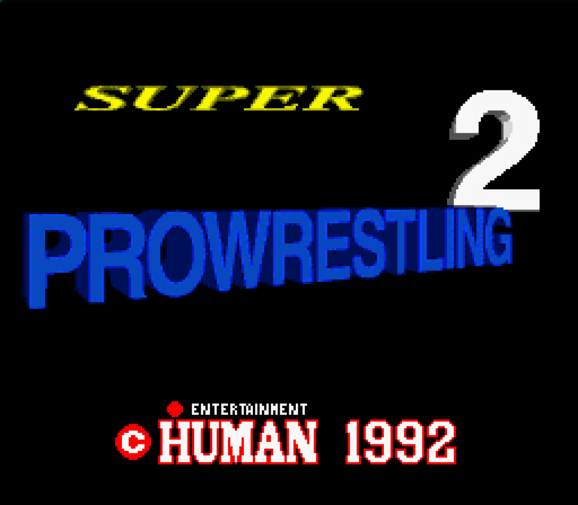 Super Fire Pro Wrestling 2